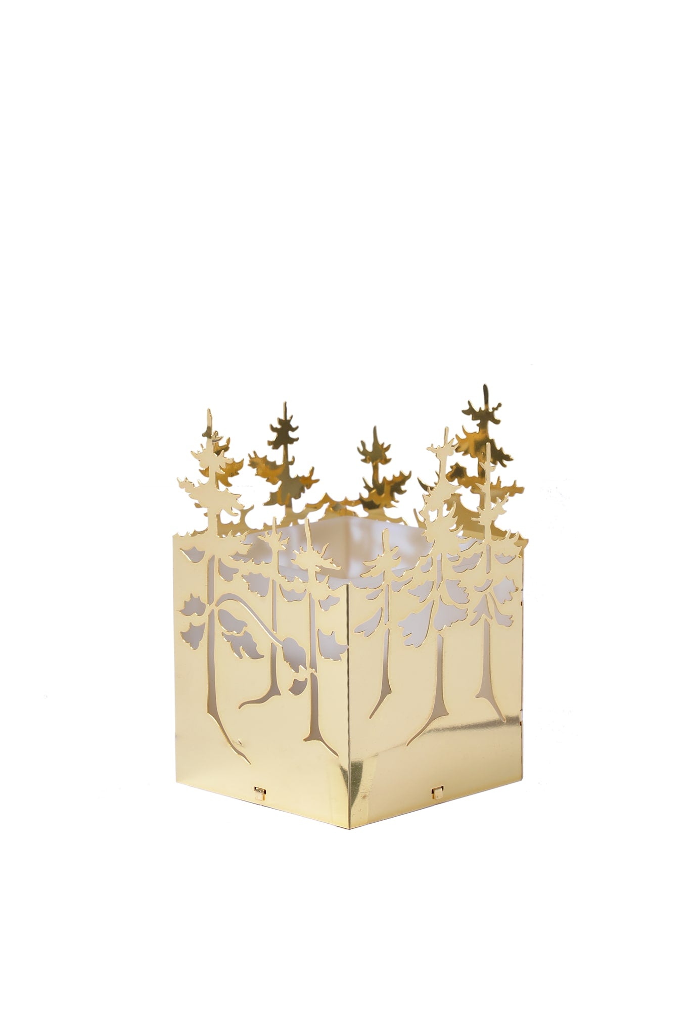 Vinterskov, Lyslygte i Guld