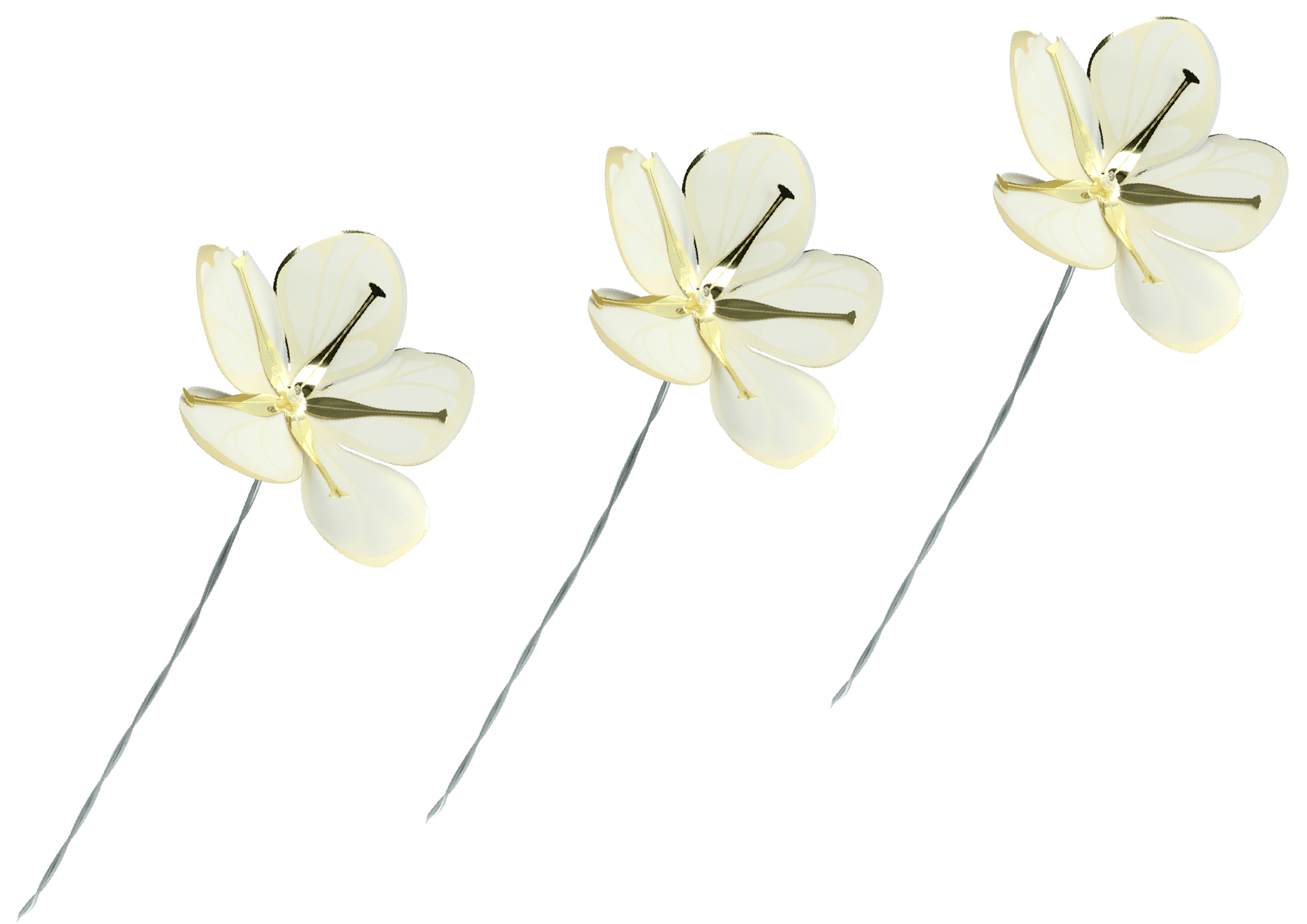 Blumen, Weiß &amp; Gold, klein